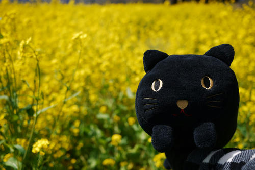 20100424_095158.jpg