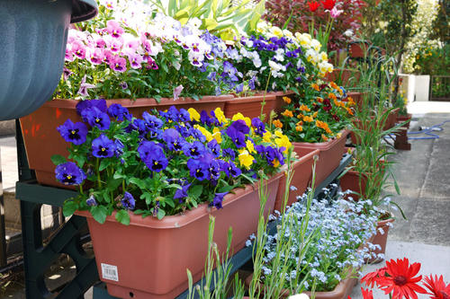20100502_135036.jpg