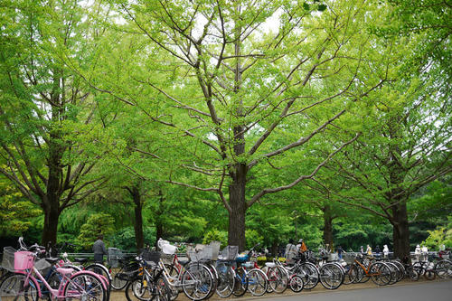 20100613_145242.jpg