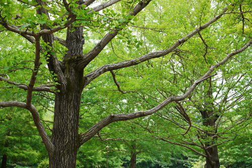 20100613_145334.jpg