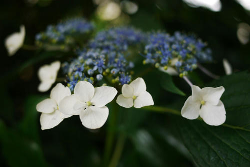 20100613_152454.jpg