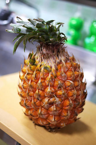 20100523_204300.jpg
