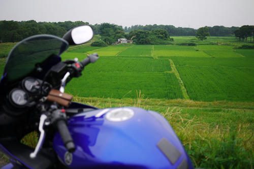 20100703_142847.jpg