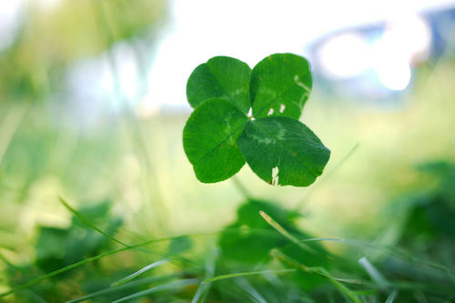 20100710_172250.jpg