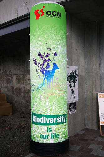 20100710_151620.jpg