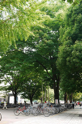 20100725_144107.jpg