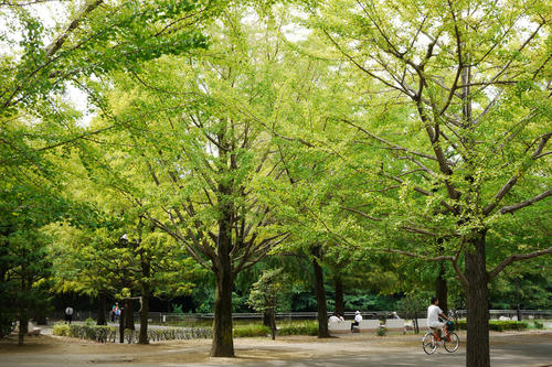 20100829_143621.jpg