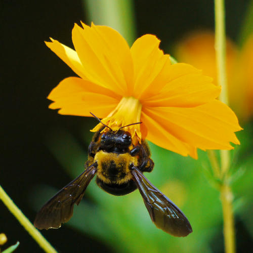 20100905_143143.jpg