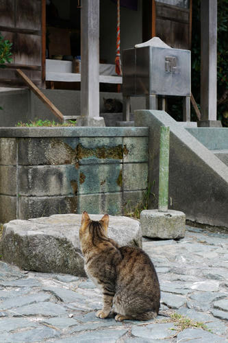 20101024_094314.jpg