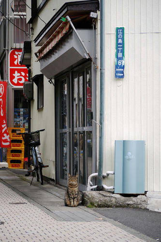 20101024_101141.jpg