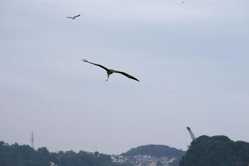 20101024_104105.jpg