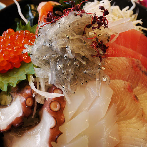 20101024_120323.jpg