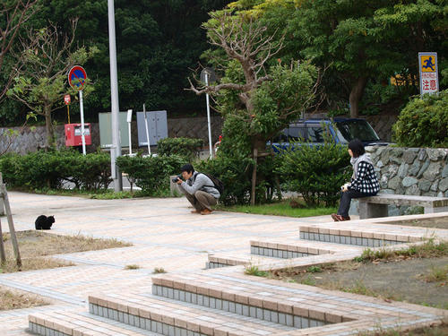 PA241181.jpg