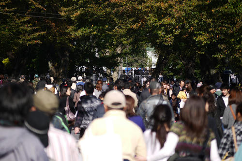 20101103_125900.jpg