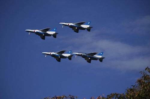 20101103_133105.jpg