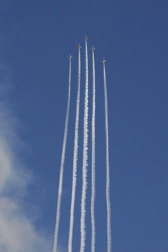 20101103_135107_01.jpg