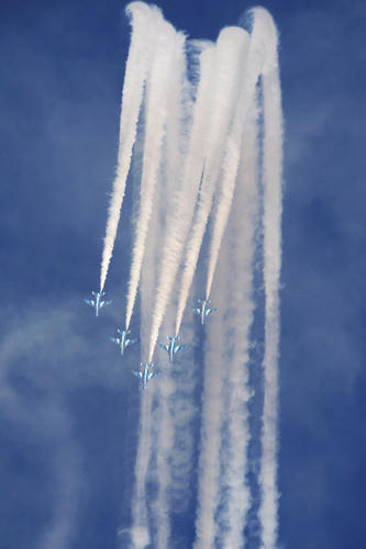 20101103_135116_03.jpg