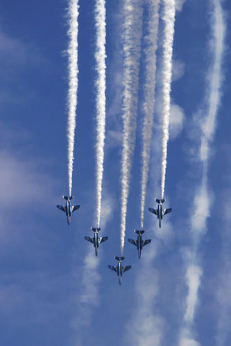 20101103_135120_01.jpg