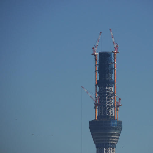 20101105_081140.jpg