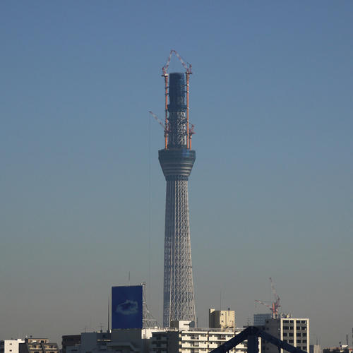 20101105_081322.jpg