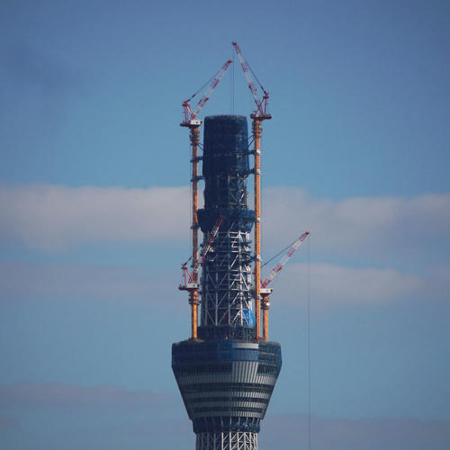 20101116_082705.jpg