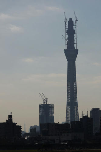 20101205_131233.jpg