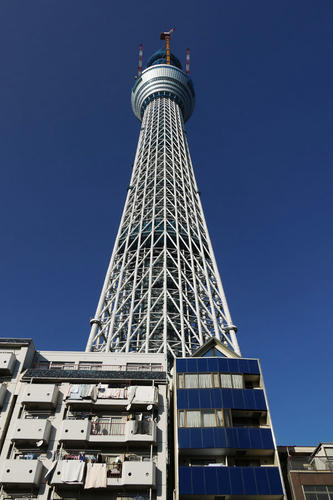 20101205_134227.jpg