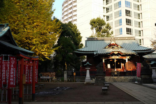 20101127_072725.jpg