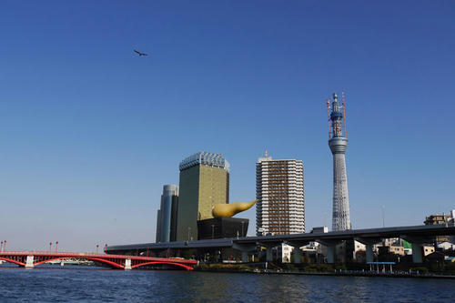 20101218_133838.jpg