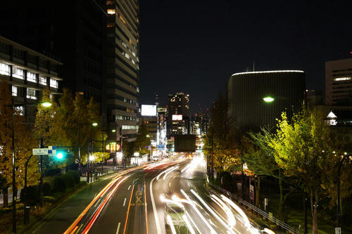 20101204_172624.jpg