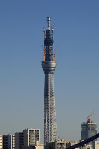 20110107_0815161.jpg