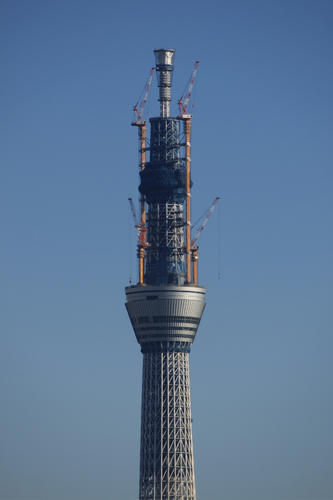 20110107_0815361.jpg