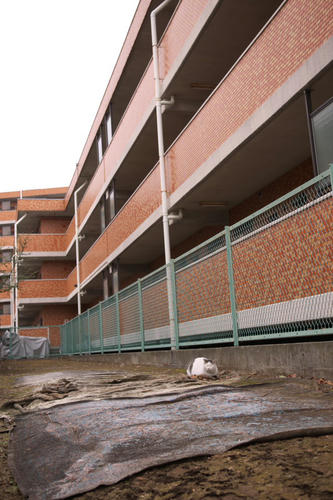 20110115_135034.jpg