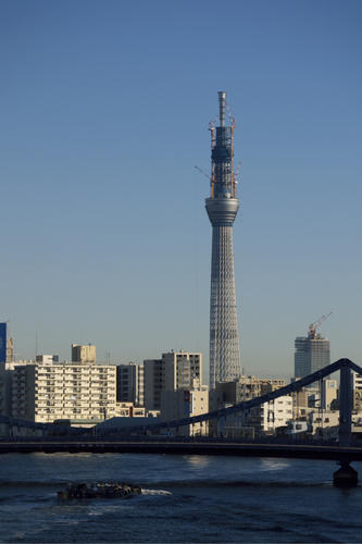 20110118_081524_k.jpg