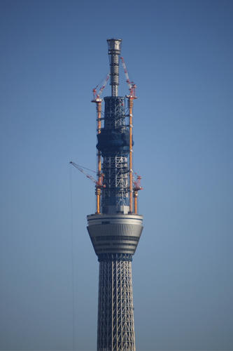 20110118_081702_v1.jpg