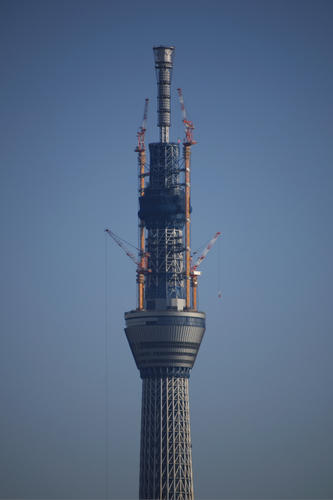 20110126_081501.jpg