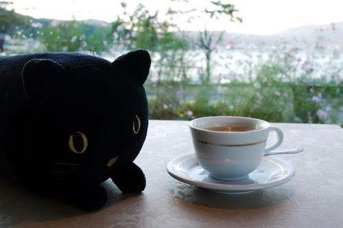 20100925_165930.jpg