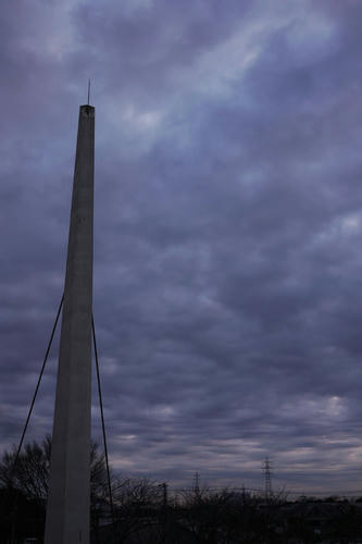 20110210_063328.jpg