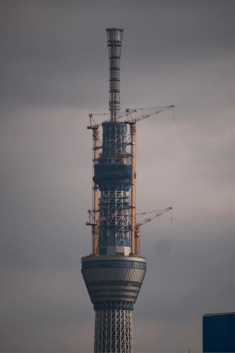 20110210_080122.jpg