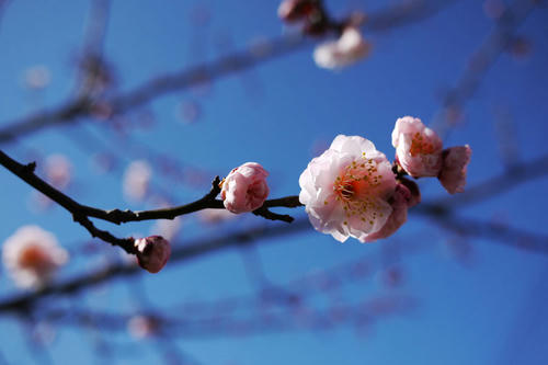 20110213_105128.jpg