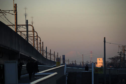 20110216_064331.jpg