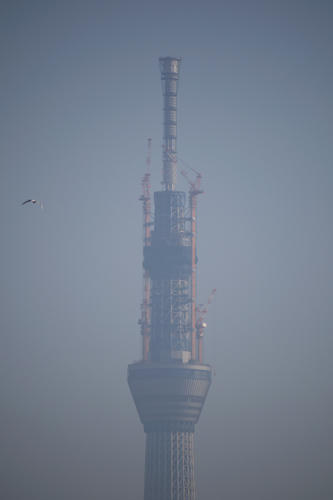 20110223_080936.jpg