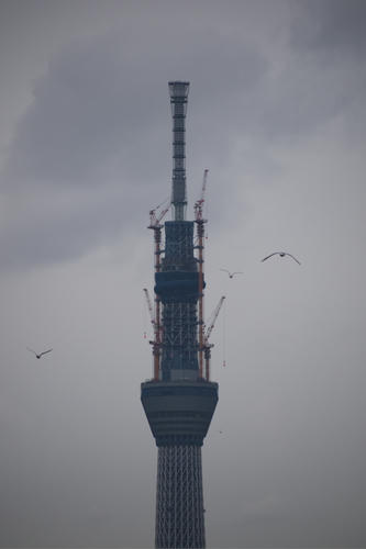 20110302_080406.jpg
