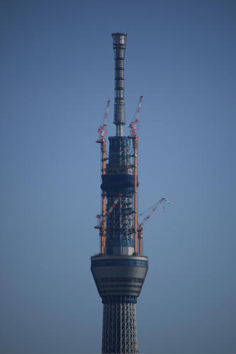 20110303_080442.jpg