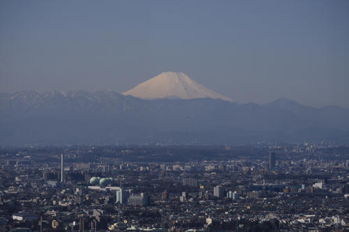 20110305_103049_02.jpg