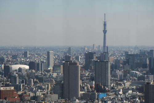 20110305_103801_3.jpg