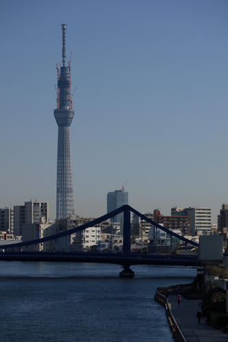 20110311_080445.jpg