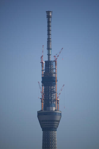 20110311_080117.jpg