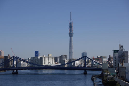 20110312_085226.jpg