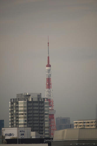 20110324_080319.jpg